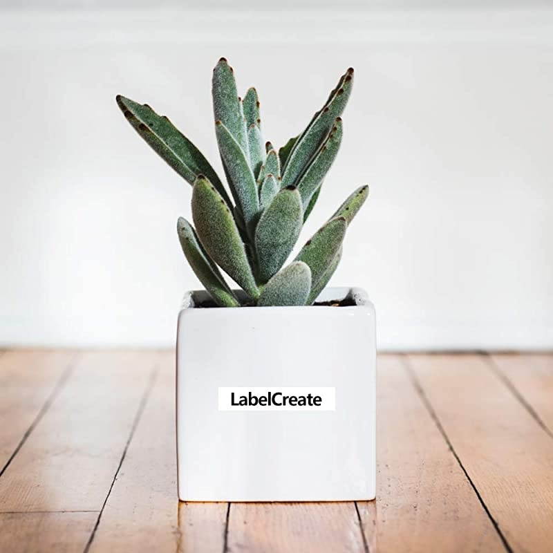 Compatible Label Tape Replace DYMO LetraTag Refills 91330 10697 SelfAdhesive Paper Label Tapefor DYMO LetraTag LT100H LT100T QX50 Label Maker Black on White 12 Inch x 13 feet 5 Pack