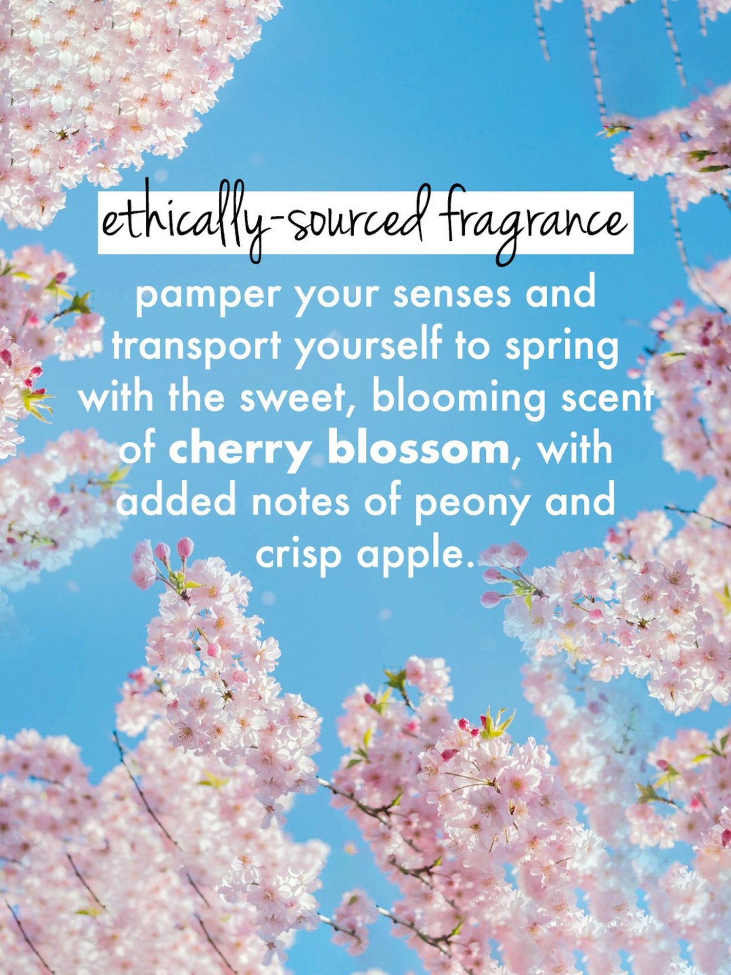 Love Beauty & Planet Cherry Blossom & Tea Rose Body Wash - 200 ml