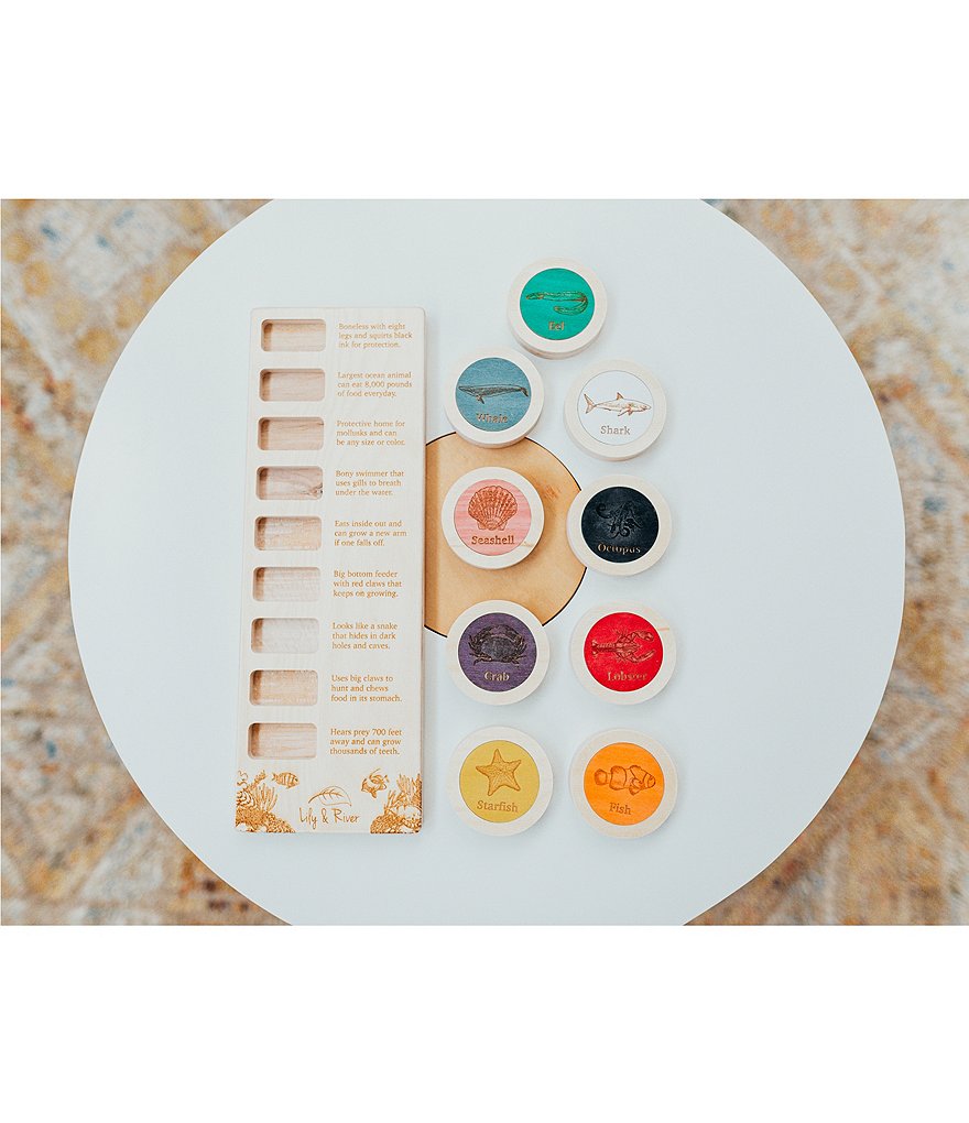 Lily & River Little World - Little Diver Facts & Memory Game