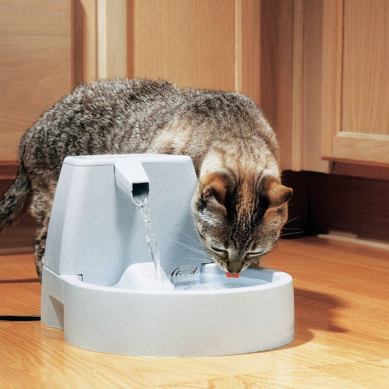 PetSafe Original Fountain