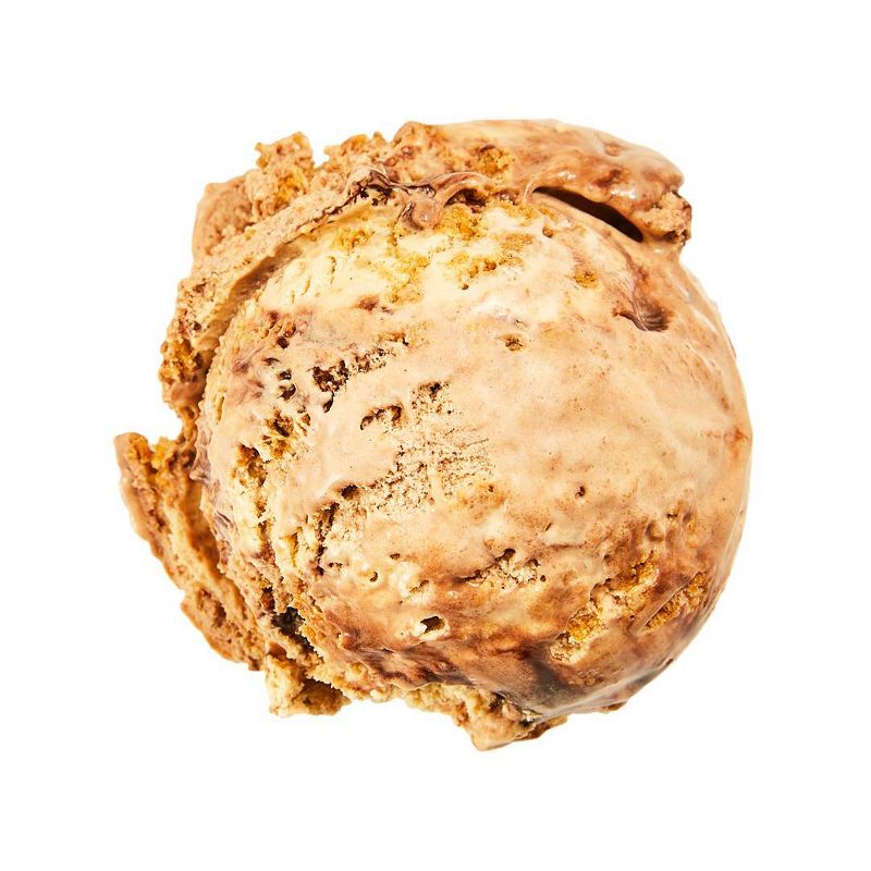 Van Leeuwen Hazelnut Fudge Cookie Ice Cream - 14oz