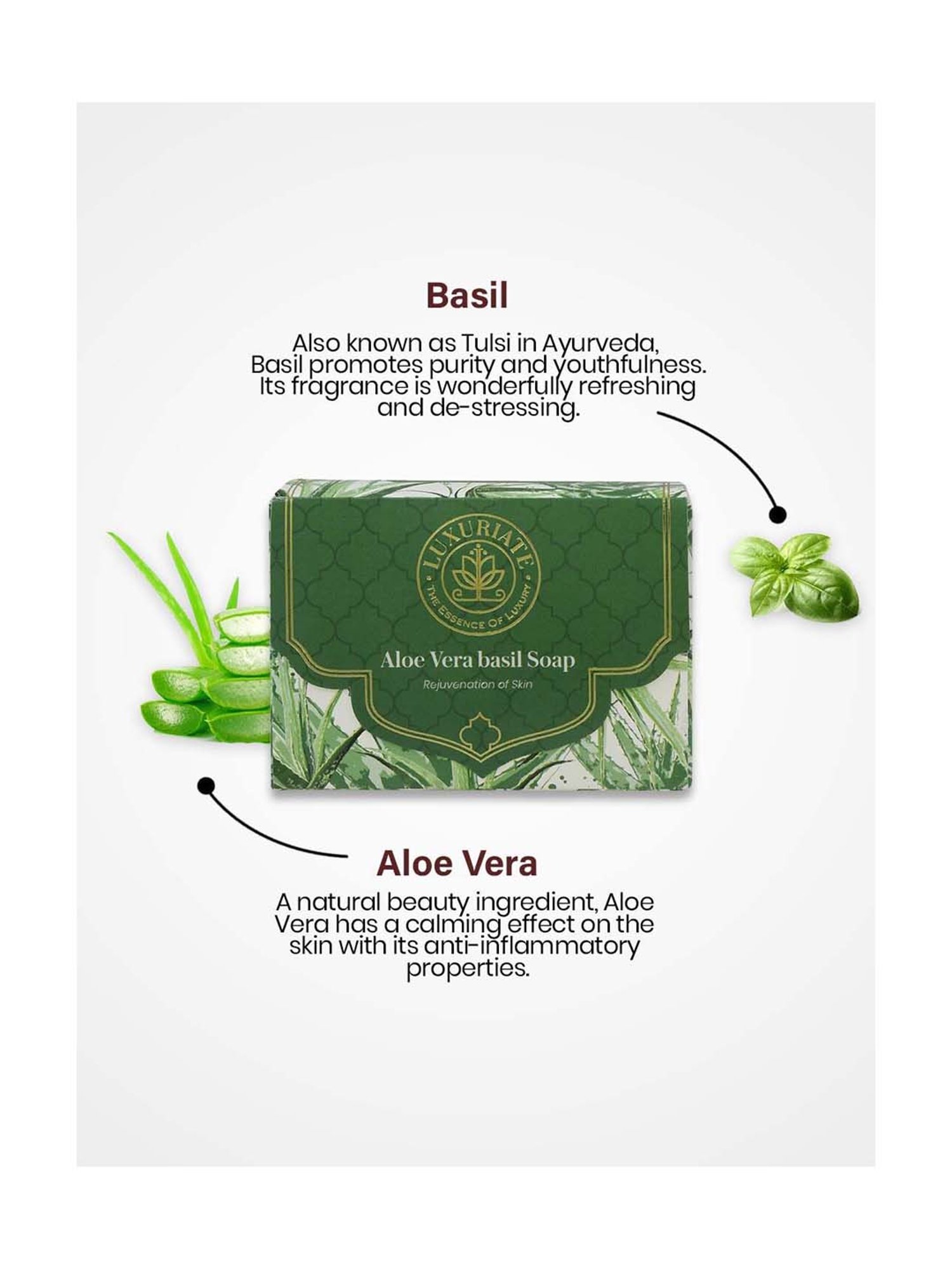 Luxuriate Naturally Refreshing Aloe Vera and Basil Soaps For Rejuvenation of Skin - 125 gm