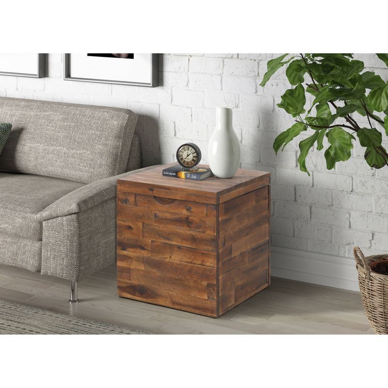 17.75" Cassian Storage Cube Trunk Dark Brown - Summerland Home