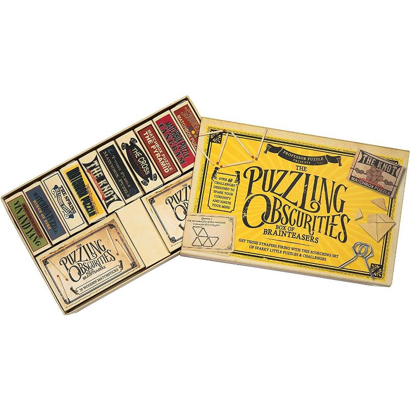 Professor Puzzle The Obscurities 10 Matchbox Puzzles & 50 Challenges Box of Brain Teasers