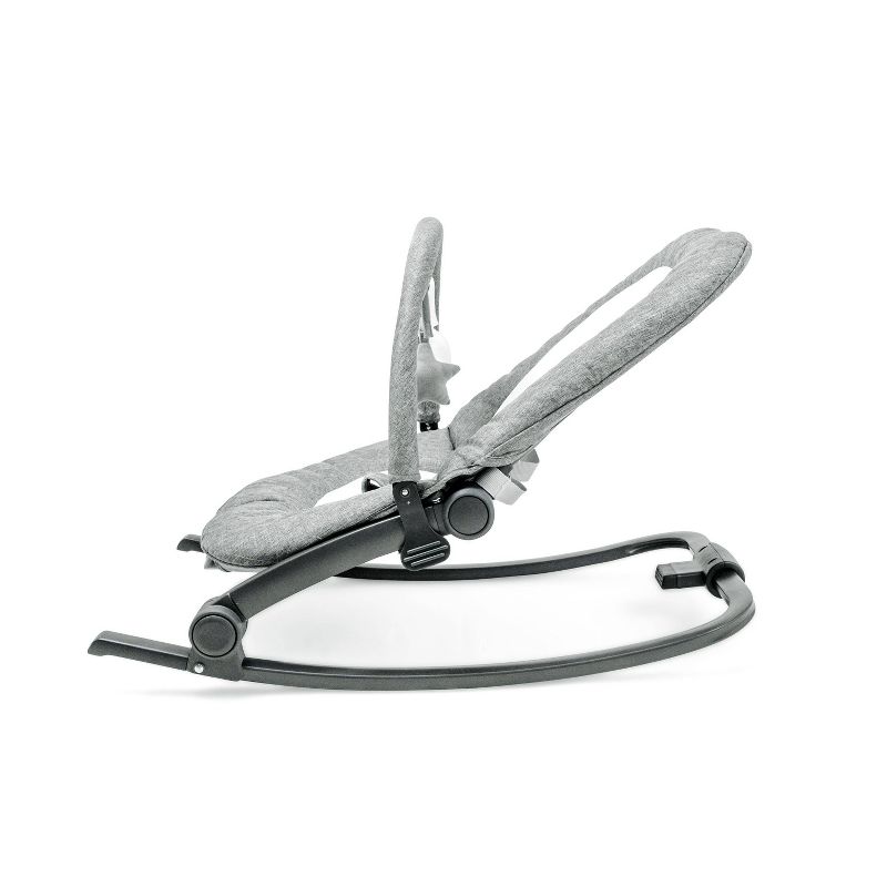 ​Fisher-Price Baby Bouncer