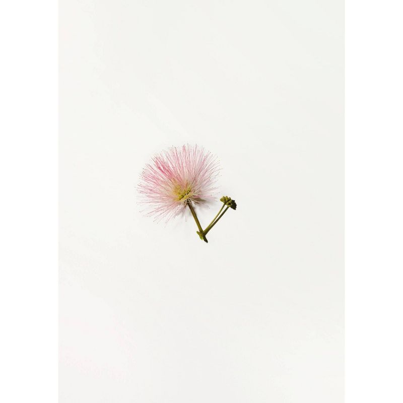 ApotheCARE Essentials PhytoDefend Protecting Day Lotion - SPF 30 - 1.7oz