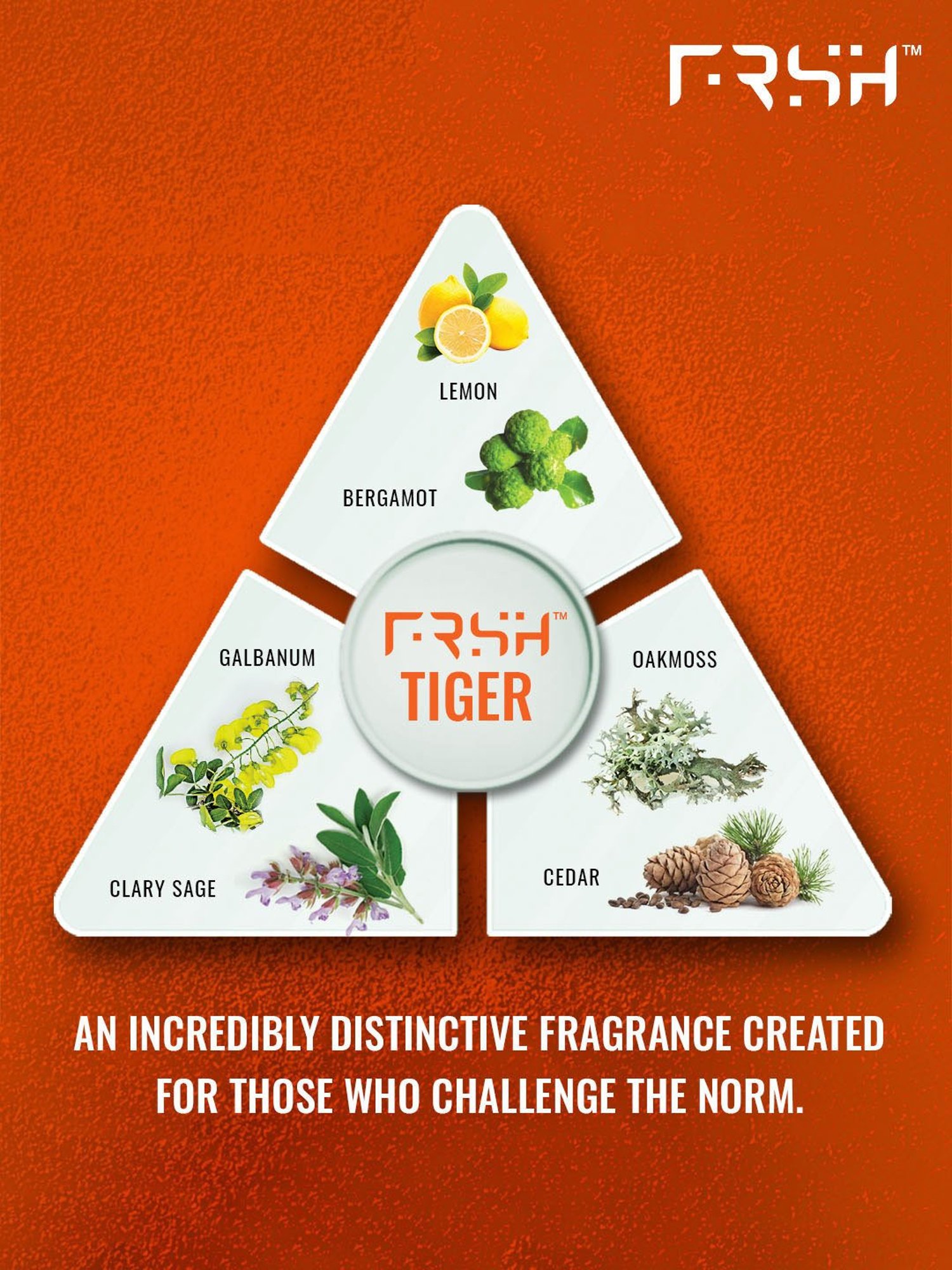 Playboy Generation Man + Vip W Deo Combo Set