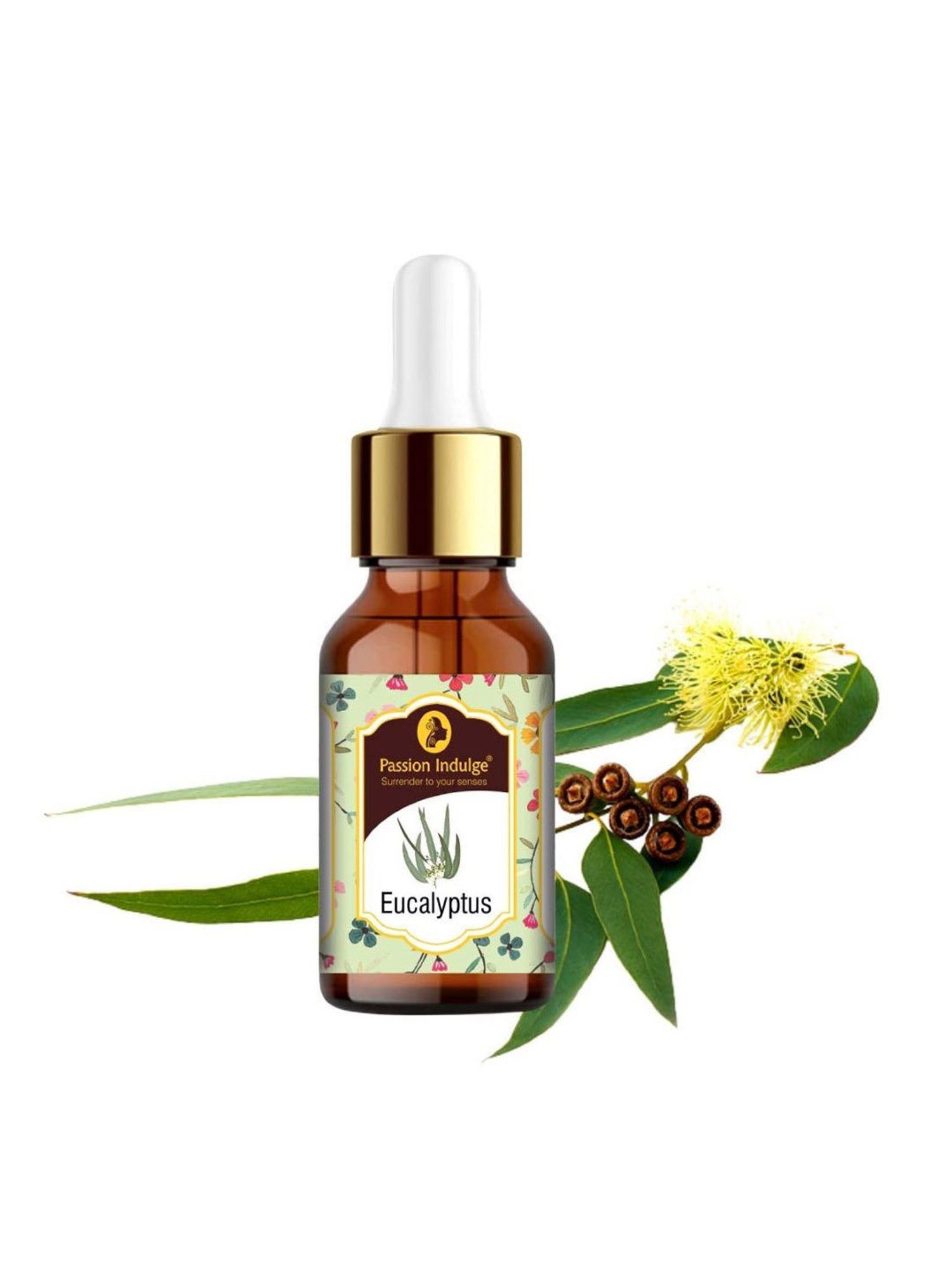 Passion Indulge Eucalyptus Essential Oil - 10 ml