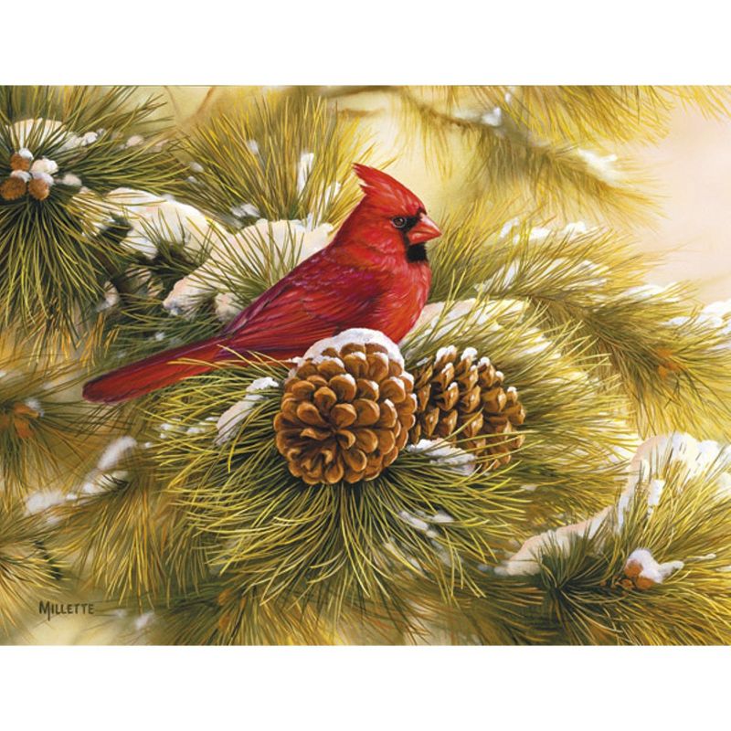 18ct December Dawn Cardinal Holiday Boxed Cards