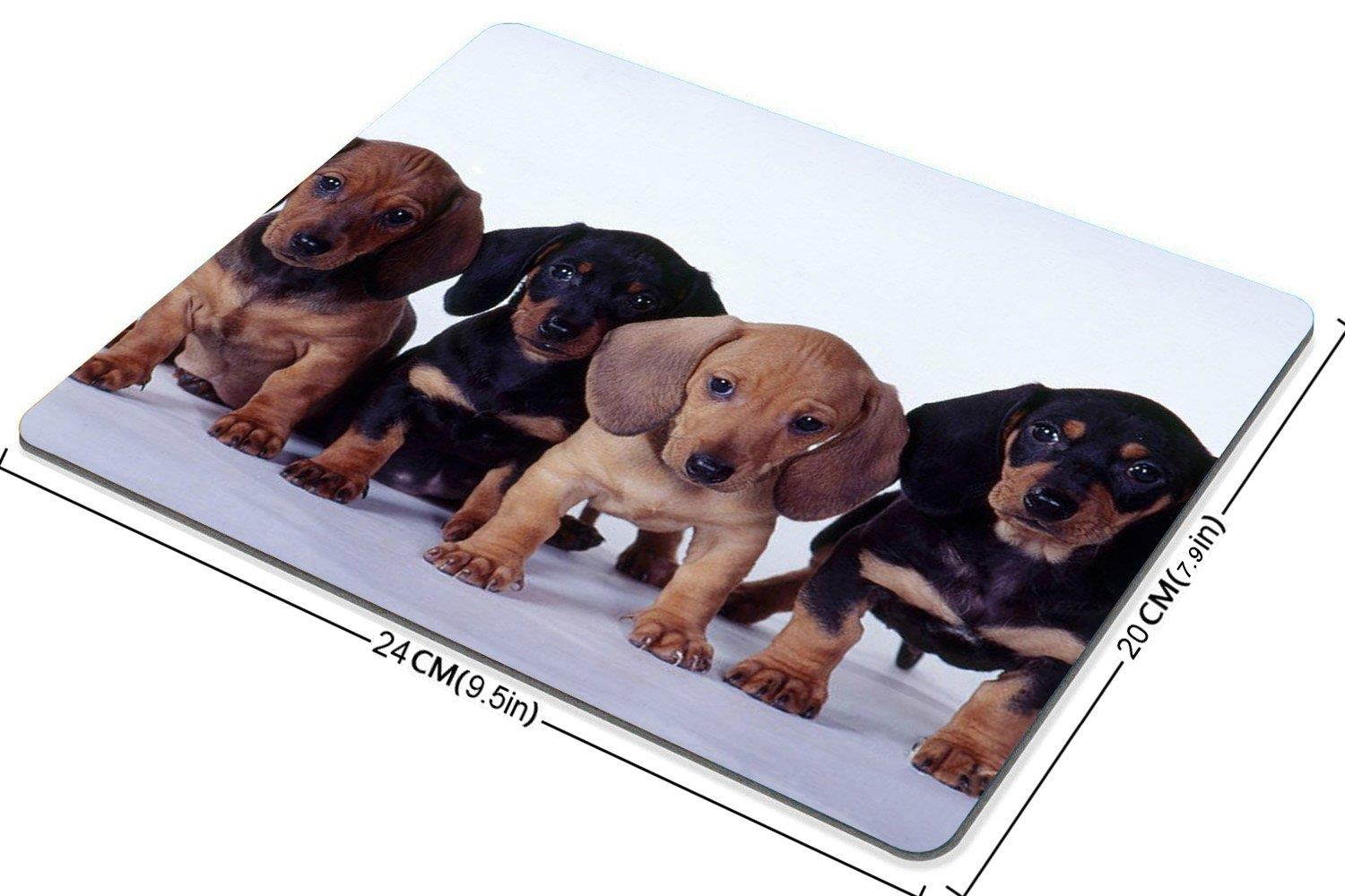 dachshund puppies Mouse Pad, Mousepad (Dogs Mouse Pad)