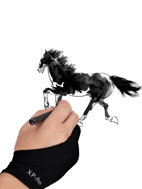 XP-Pen AC01 Artist Anti-fouling Glove Lycra Glove&nbsp;for&nbsp;Drawing&nbsp;Tablet Pen Display LED Light Box Light Table free size(Black)