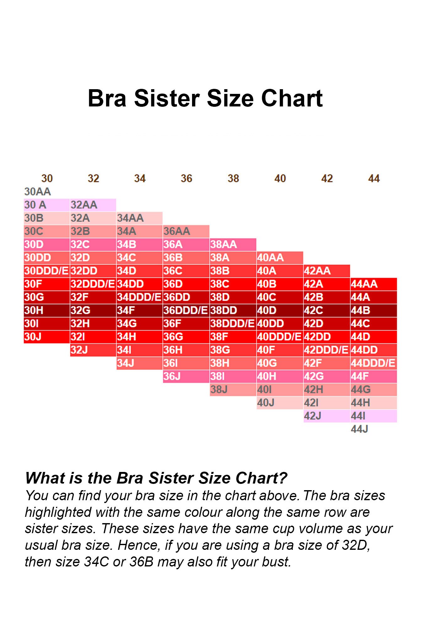 Enamor Black Non Wired Non Padded T-Shirt Bra