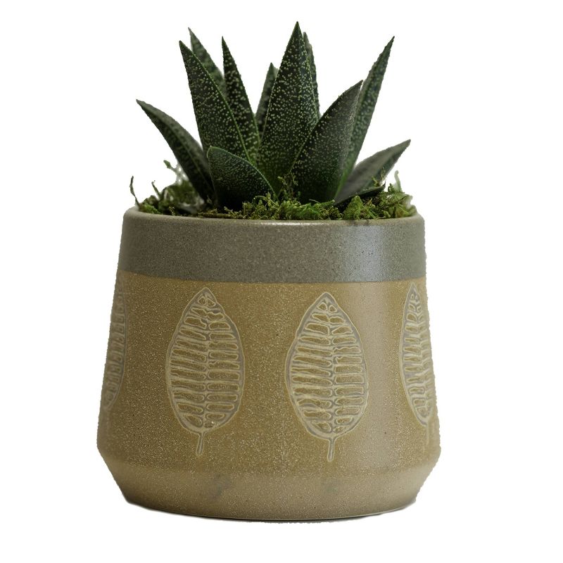 LiveTrends Leaf Native