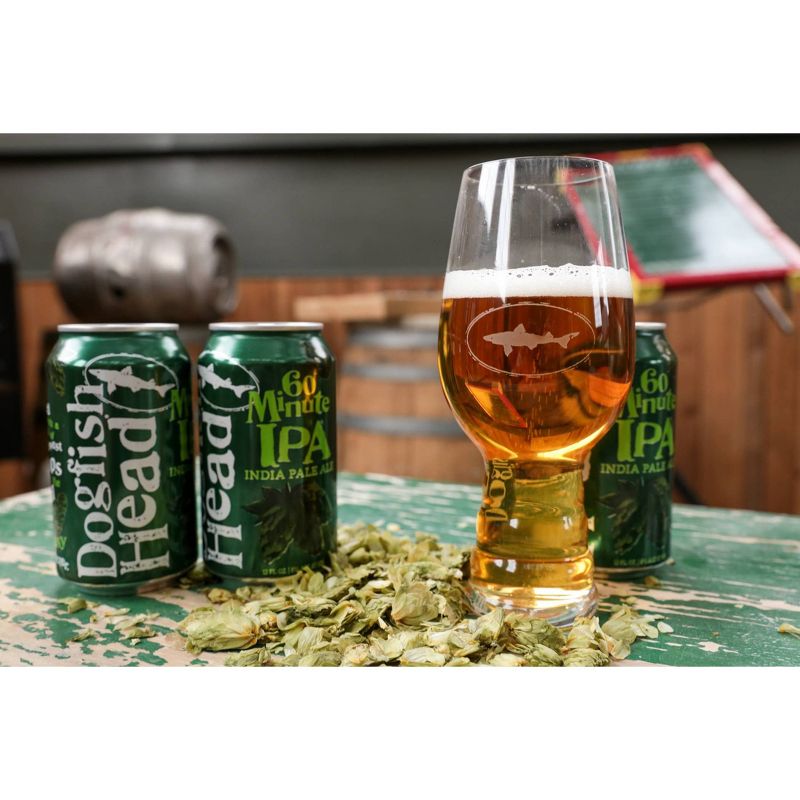 Dogfish Head 60 Minute IPA Beer - 12pk/12 fl oz Cans