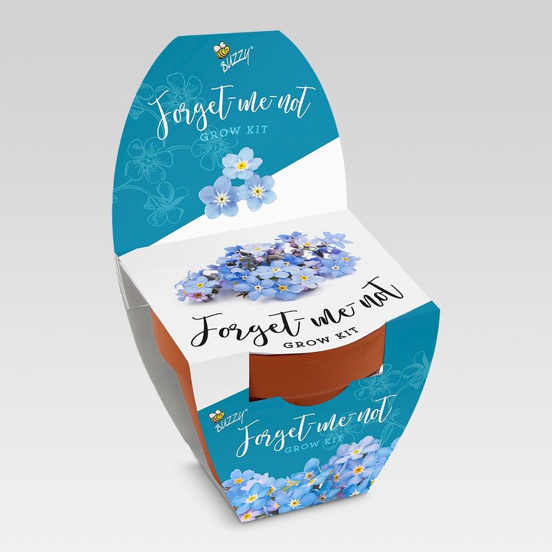 5.5" H Terra Cotta Grow Kit - Forget-Me-Not - Buzzy Seeds