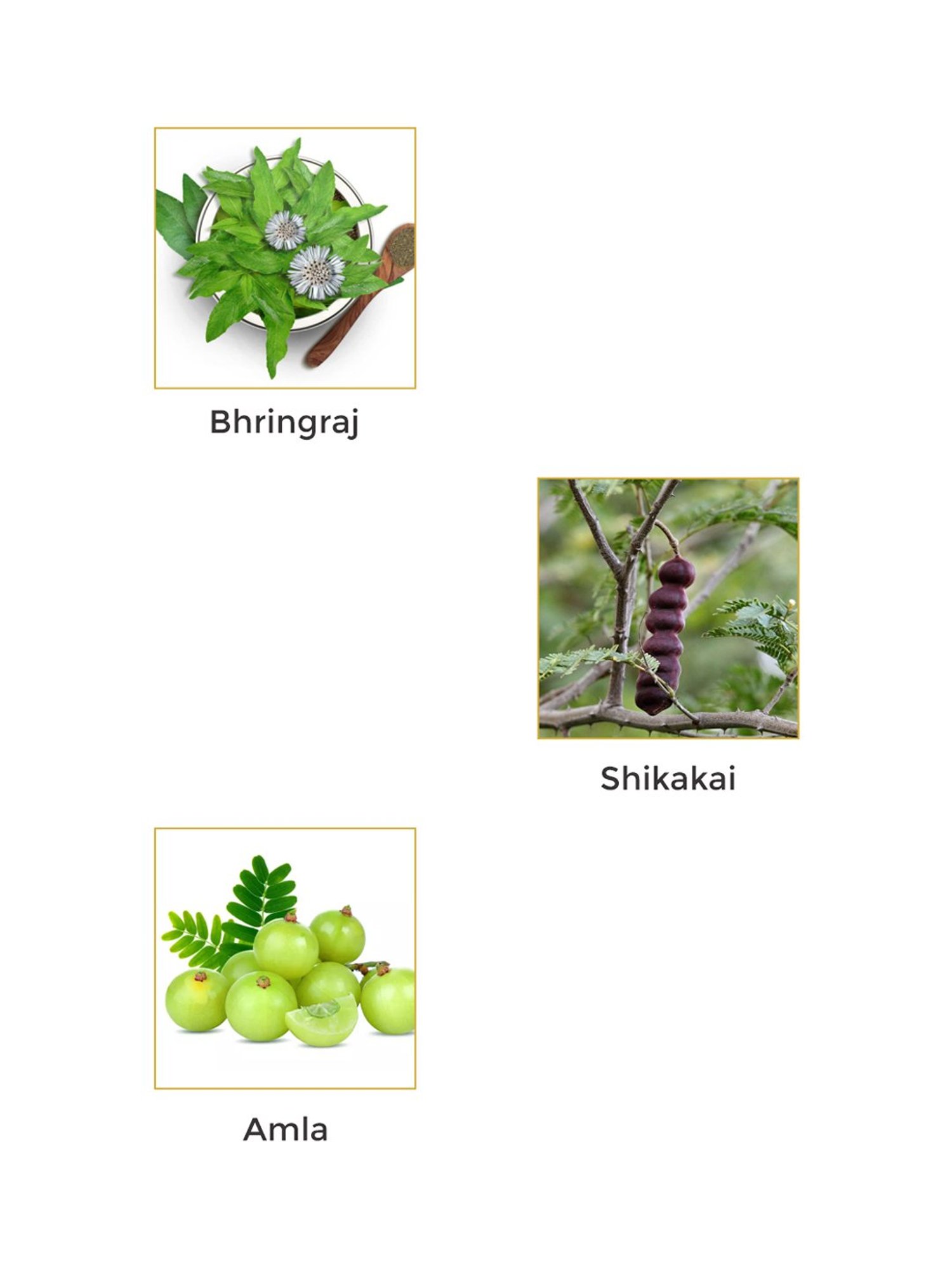 Vegetal Nourisher - 120 gm