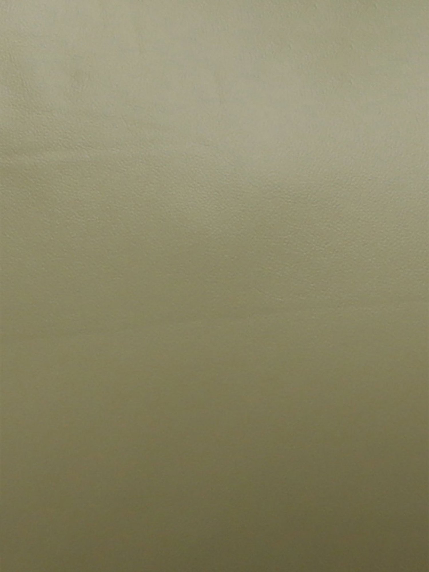 Durian Europa Green Leather 2 Seater Sofa