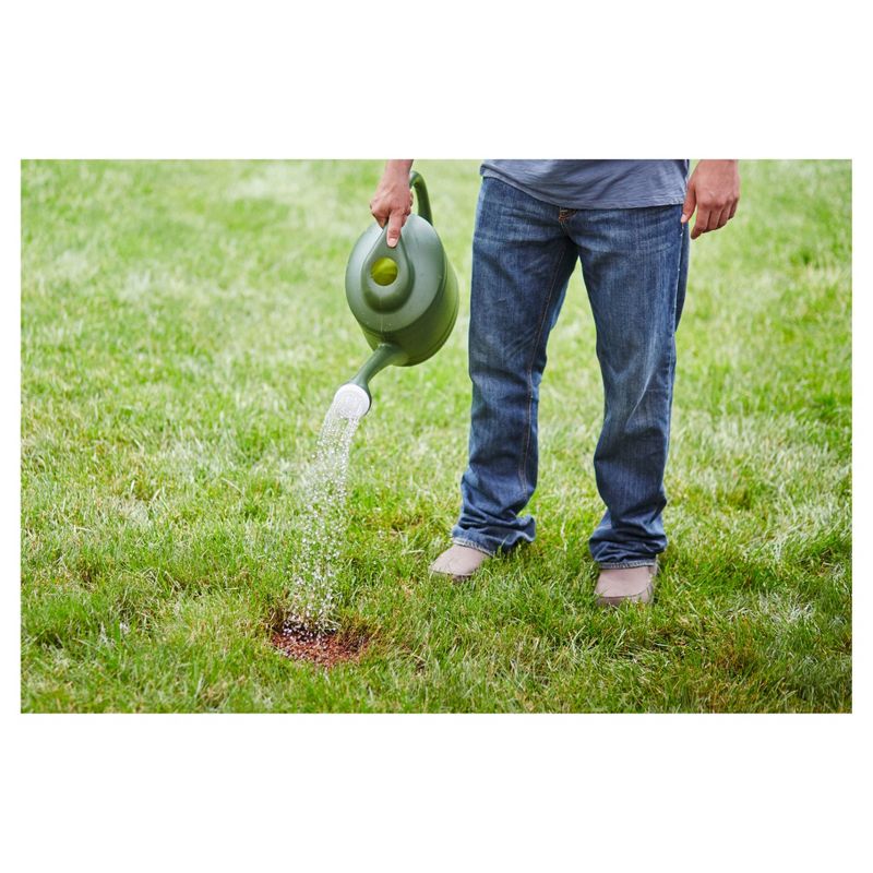 Scotts EZ Seed Sun & Shade 10lb