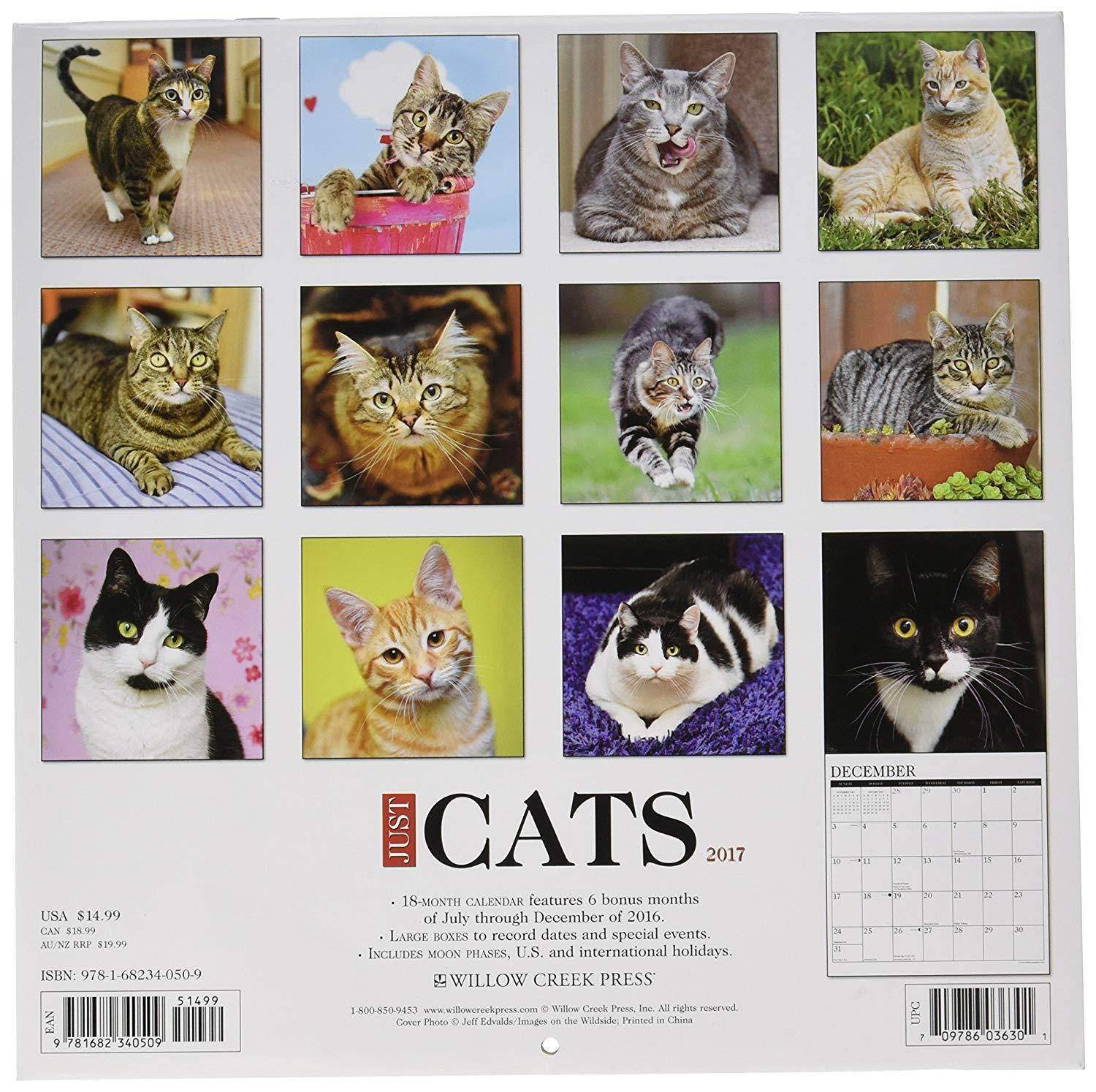 Cats 2017 Wall Calendar