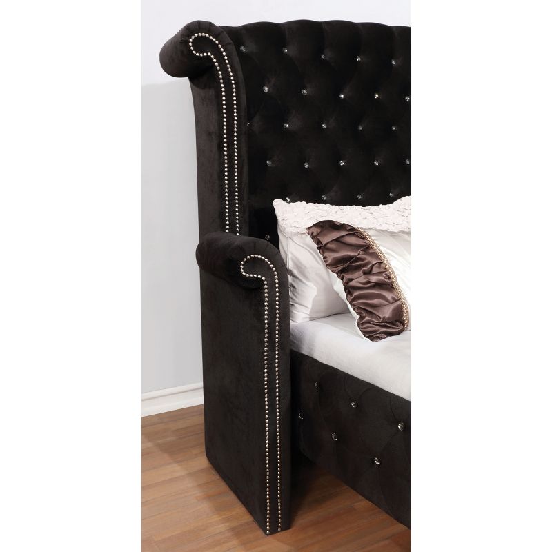 Conna Adult California King Bed Black - HOMES: Inside + Out