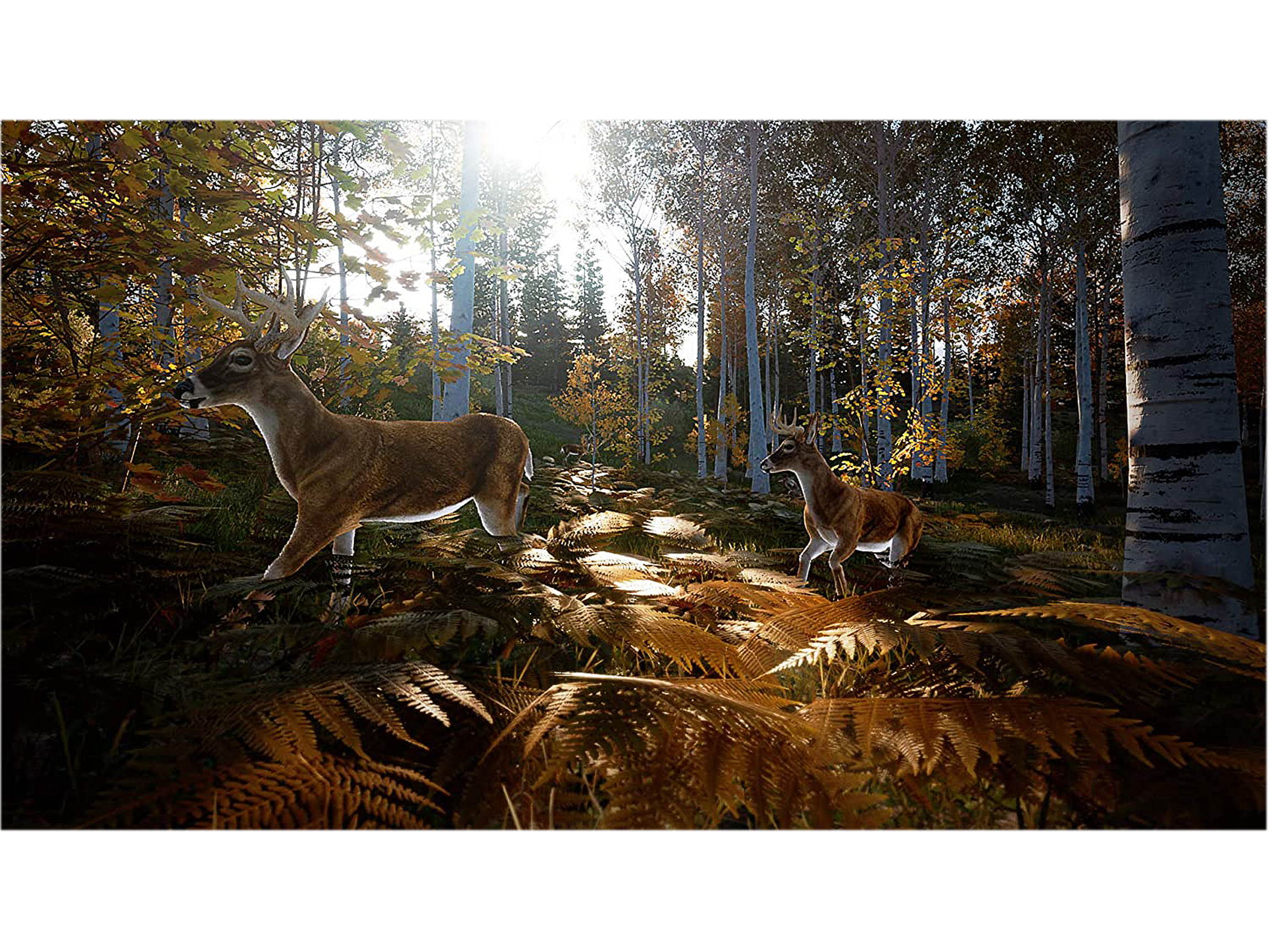 Hunting Simulator 2 - PS5 Video Games