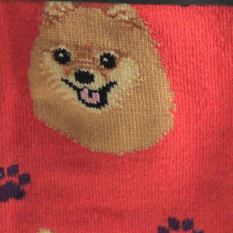 Novelty Socks 15.25" Pomeranian Socks Premium Quality E & S Pet  -  Socks