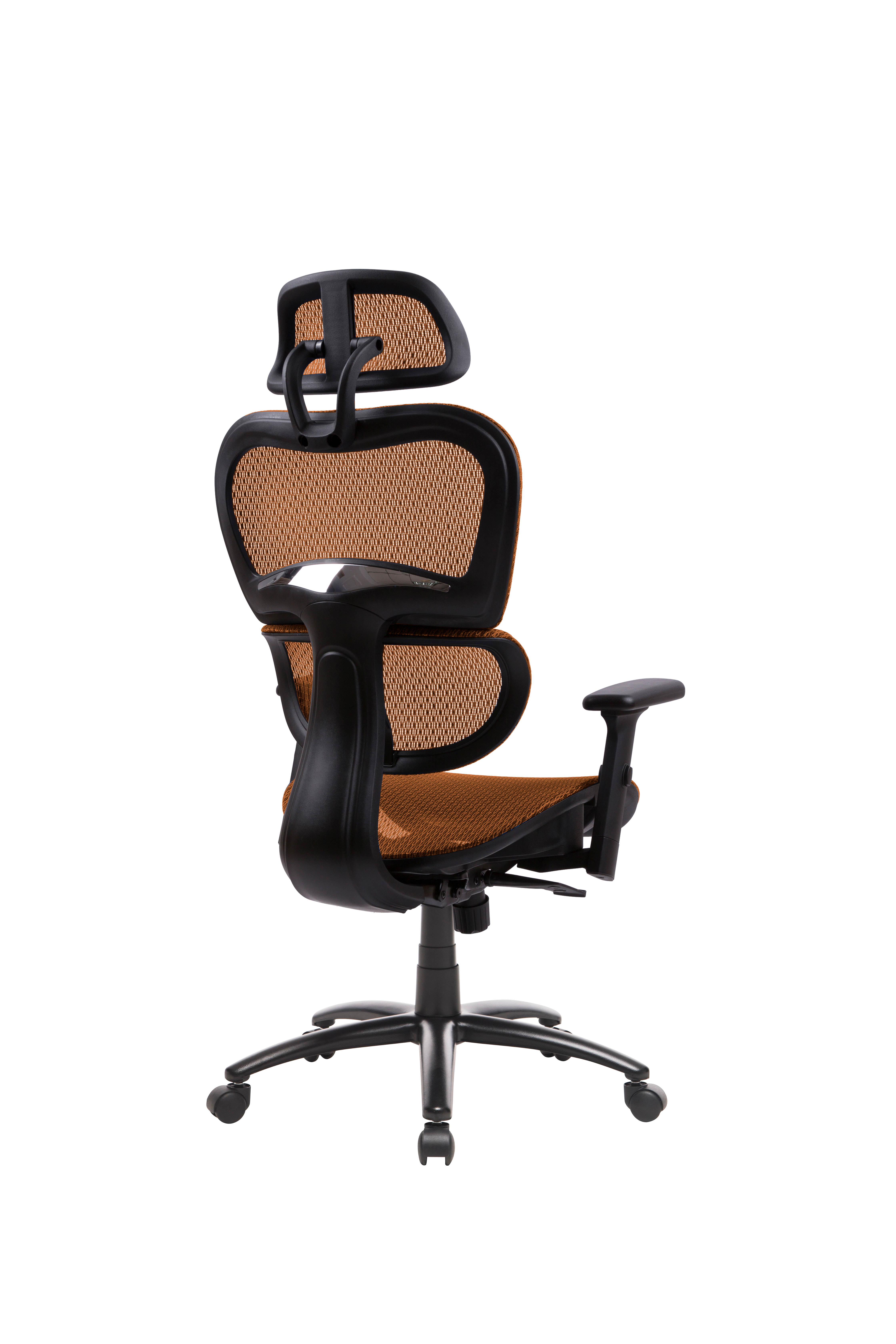 Ergonomic Office Chair Mesh Chair Computer Chair Desk Chair High Back Chair with Adjustable Headrest and Armrest