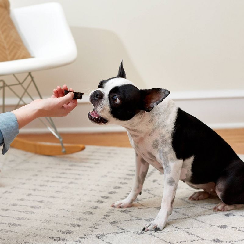 Rocco & Roxie Beef Liver Jerky Dog Treats - 16oz