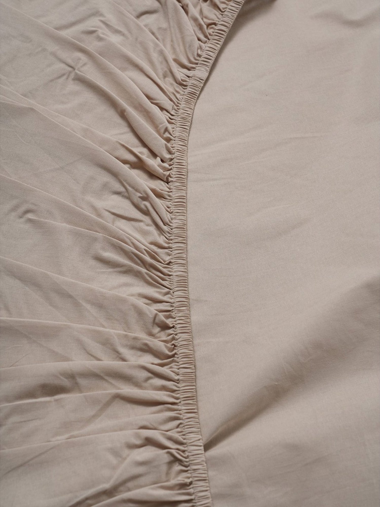 Maspar Colorart Eden Sand Beige 144 TC Cotton Single Fitted Bed Sheet With 1 Pillow Cover