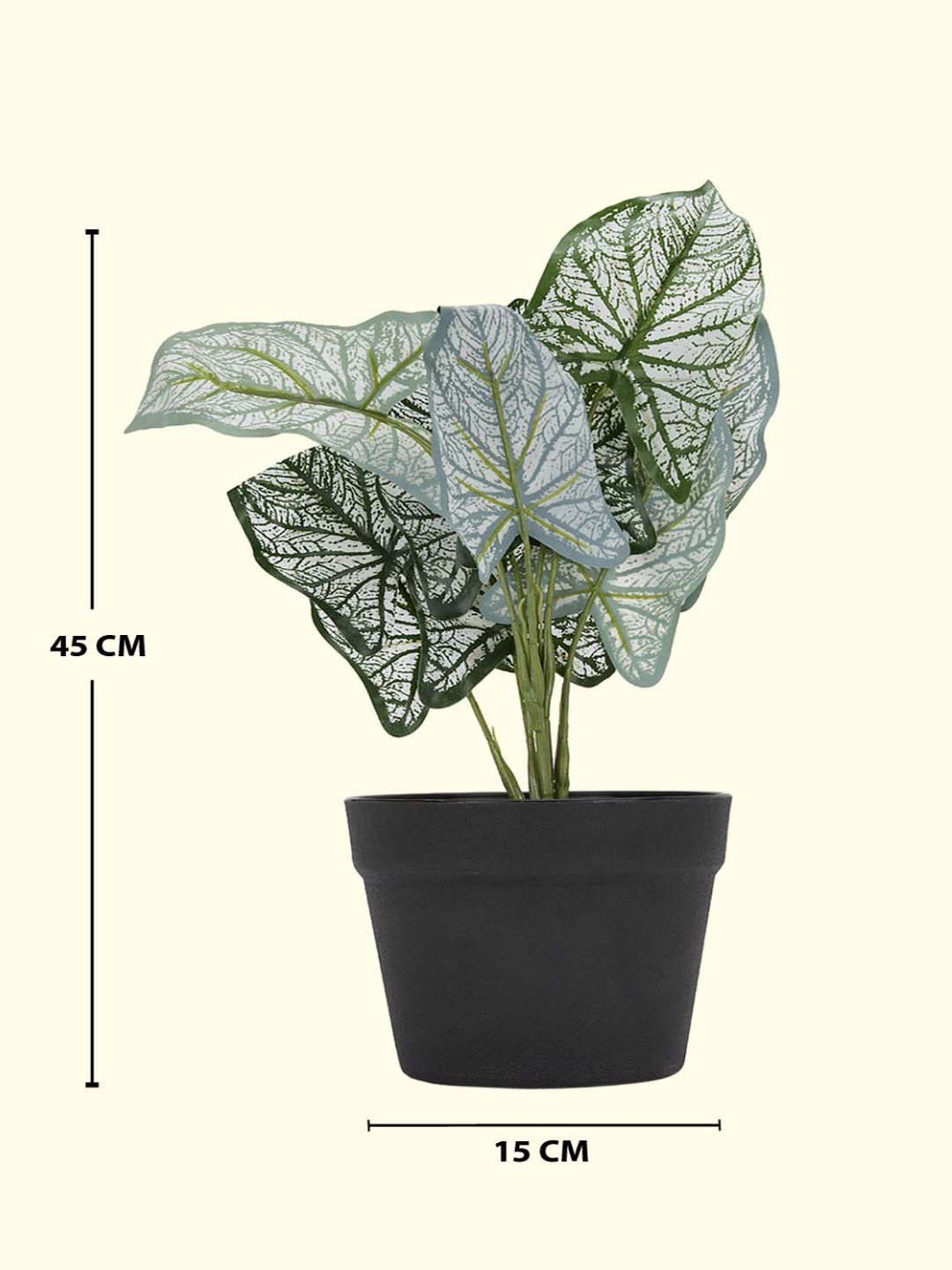 Living Scapes by Pantaloons Green Plastic Planter