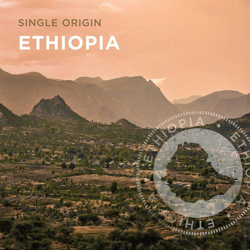 Peet's Ethiopia Single Origin Dark Roast Ground Coffee 10.5oz