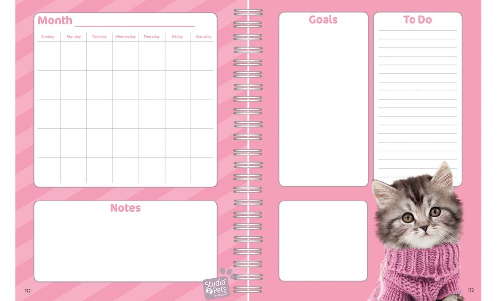 Turner Licensing,  Kittens Perpetual Calendar by Studio Pets