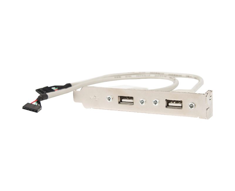 ROCSTORAGE INC. Rocstor Premium 8in 2 Port USB Type A Female Low Profile Slot Plate Adapter - 2 x USB Type A Female