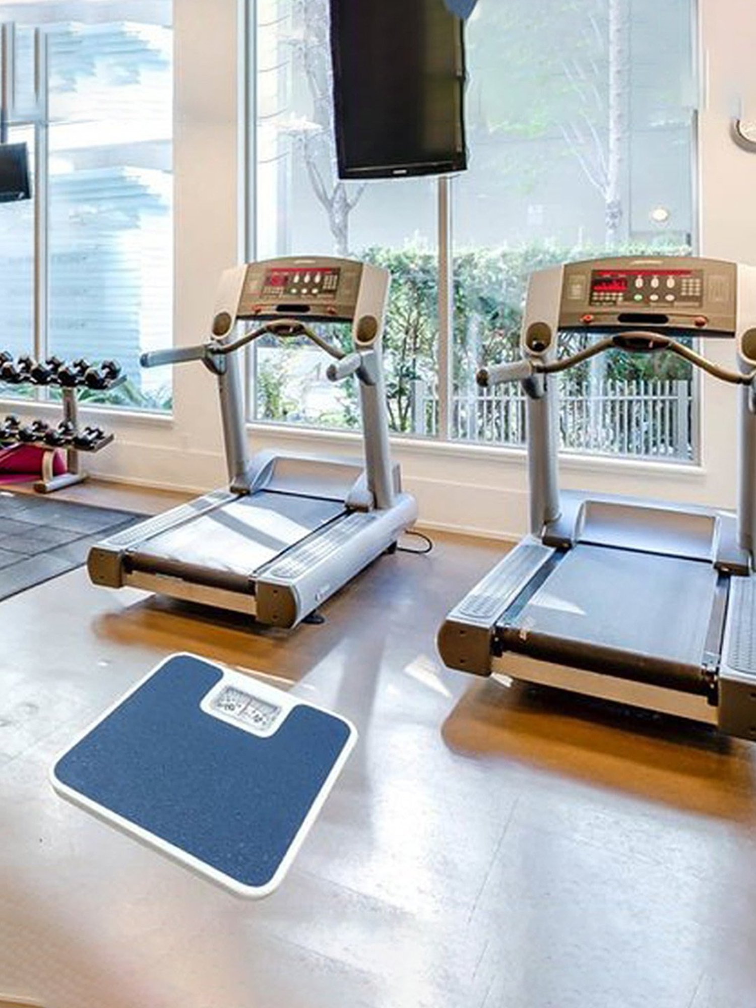 Beurer LS 06 Luggage/Weighing Scale