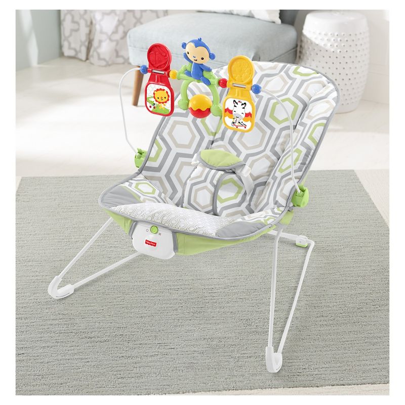 ​Fisher-Price Baby Bouncer