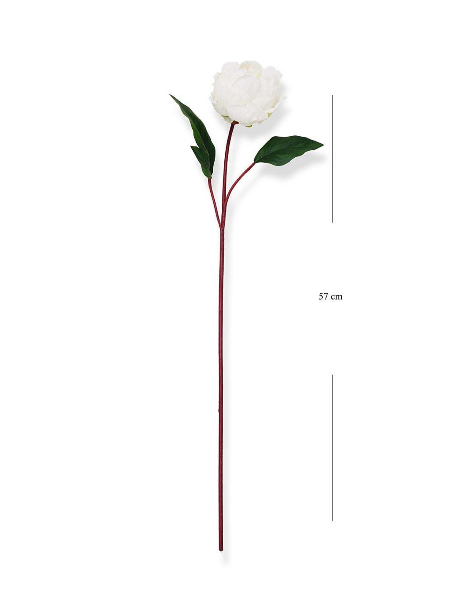 Pure Home and Living Ivory Plastic Artificial Peony Flower Stem