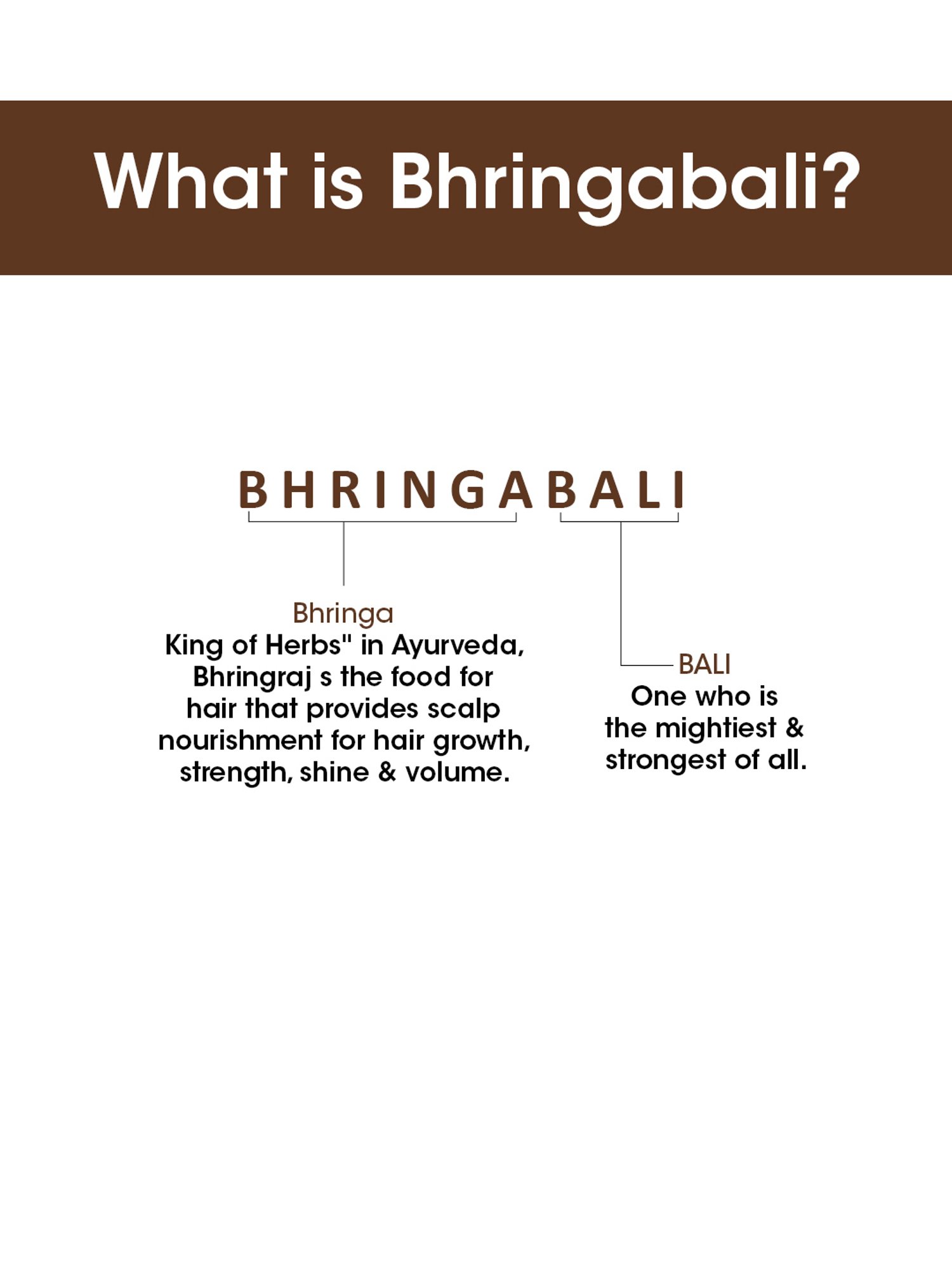 TAC - The Ayurveda Co. Bhringabali Shampoo - 250 ml