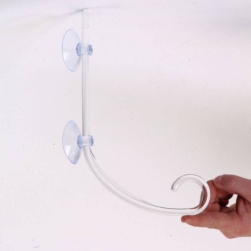 Birds Choice The Great Hangup