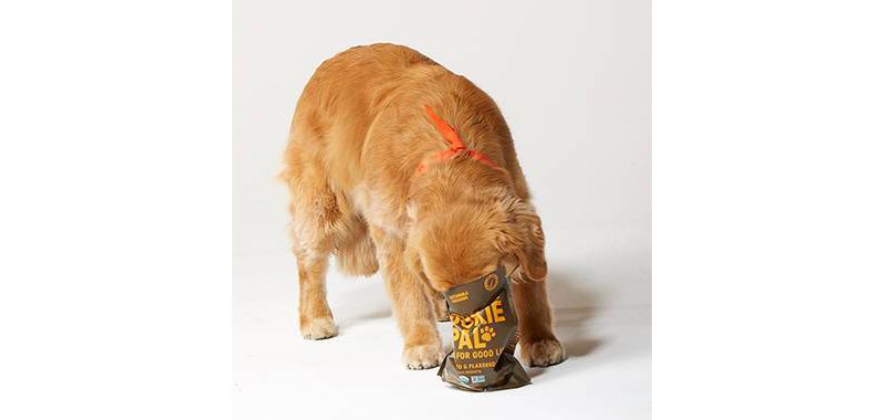 Cookie Pal Human Grade Organic Turmeric and Ginger Dog Treats - 10oz