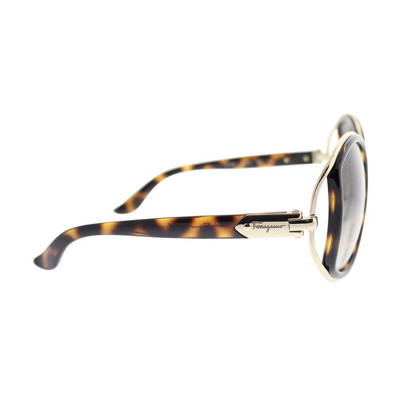 Salvatore Ferragamo  238 Unisex Round Sunglasses Dark Tortoise Gold 52mm