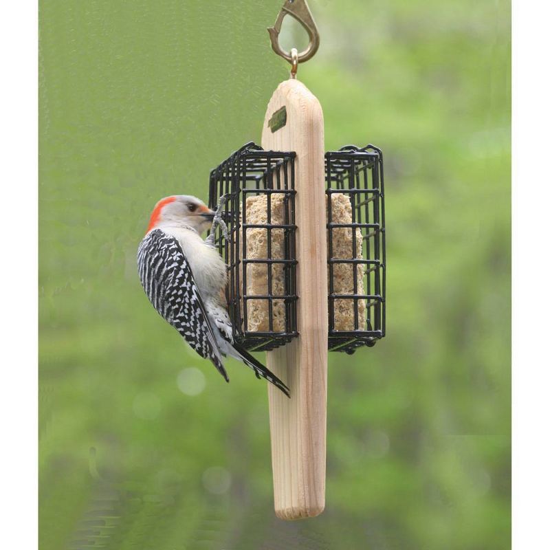 Birds Choice Suet Cages Bird Feeder