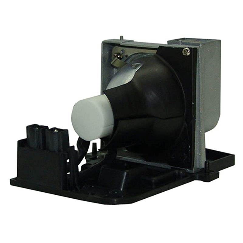 BLFP230C Replacement Lamp with Housing Compatible with OPTOMA DP7249 DX625 DX733 EP719H EP749 TX800