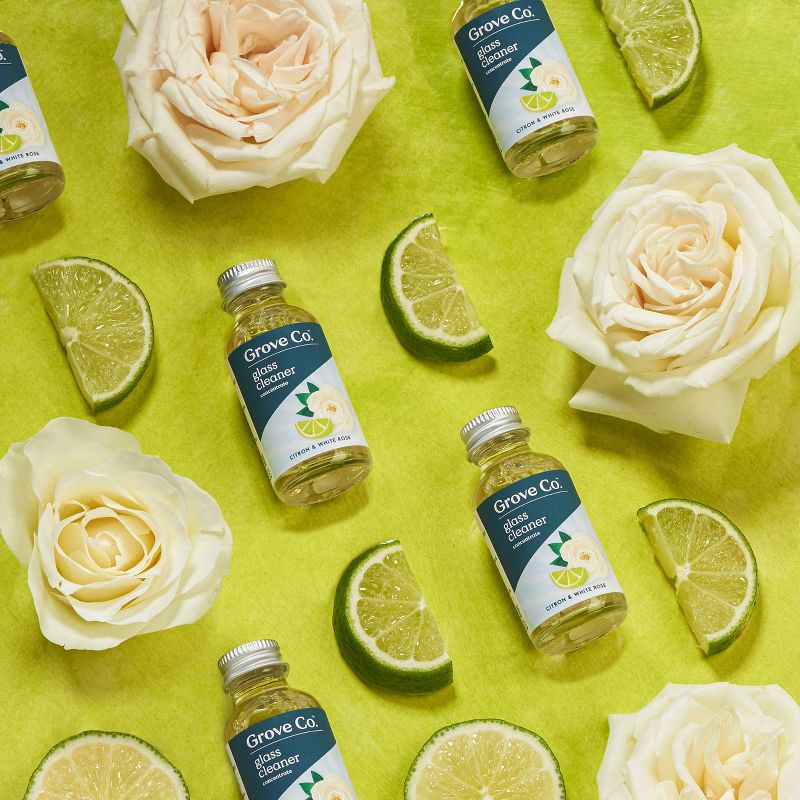 Mandarin & Ginger Granite & Stone Cleaner - 28 fl oz - Everspring™