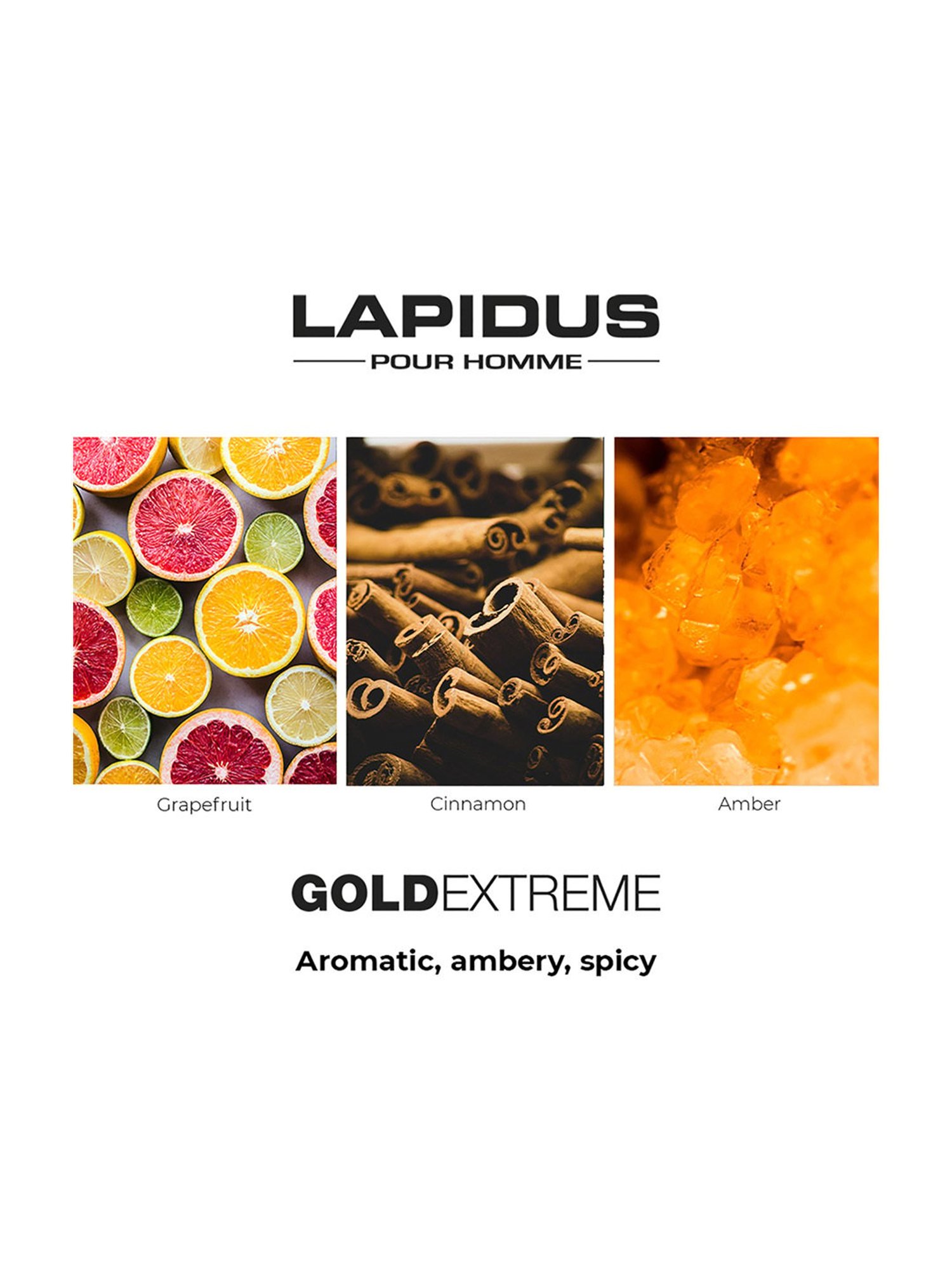 Ted Lapidus Pour Homme Gold Extreme Eau de Toilette - 100 ml