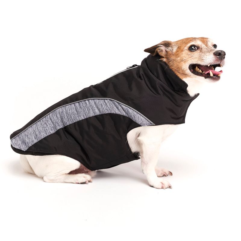 Royal Animals Spacedye Dog and Cat Jacket - Gray - XS