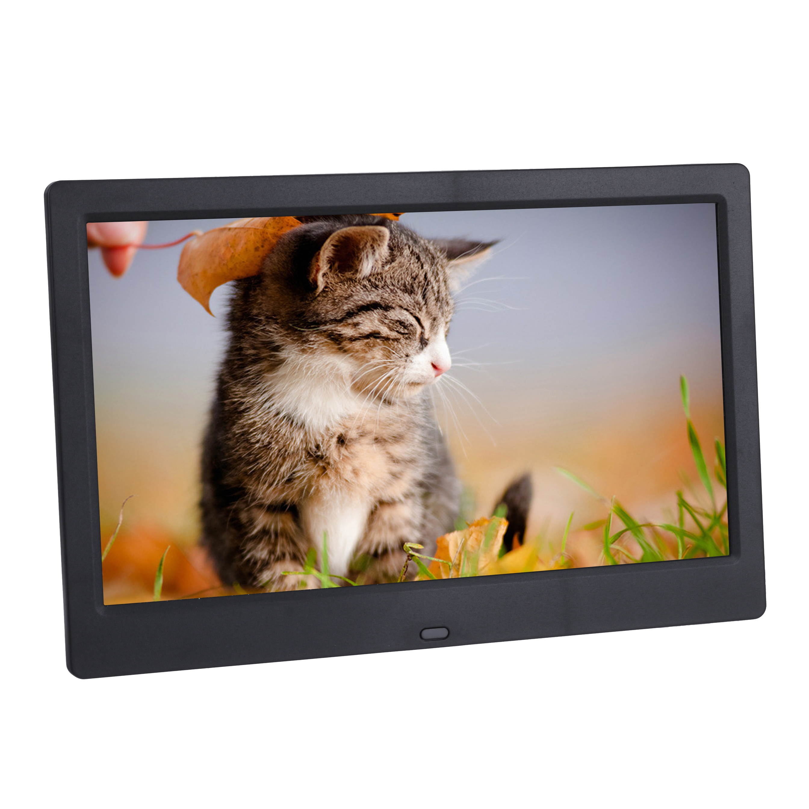 10 Inch 5V 1024x600 HD IPS LCD Digital Photo Frame Audio Video Player Support SD USB MMC MS Card With Remote Control