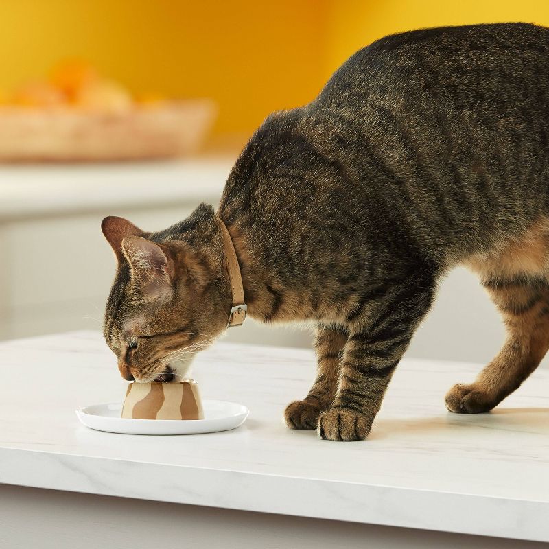 Meow Mix Tasty Layers Chicken and Turkey Recipe Wet Cat Food - 2.75oz