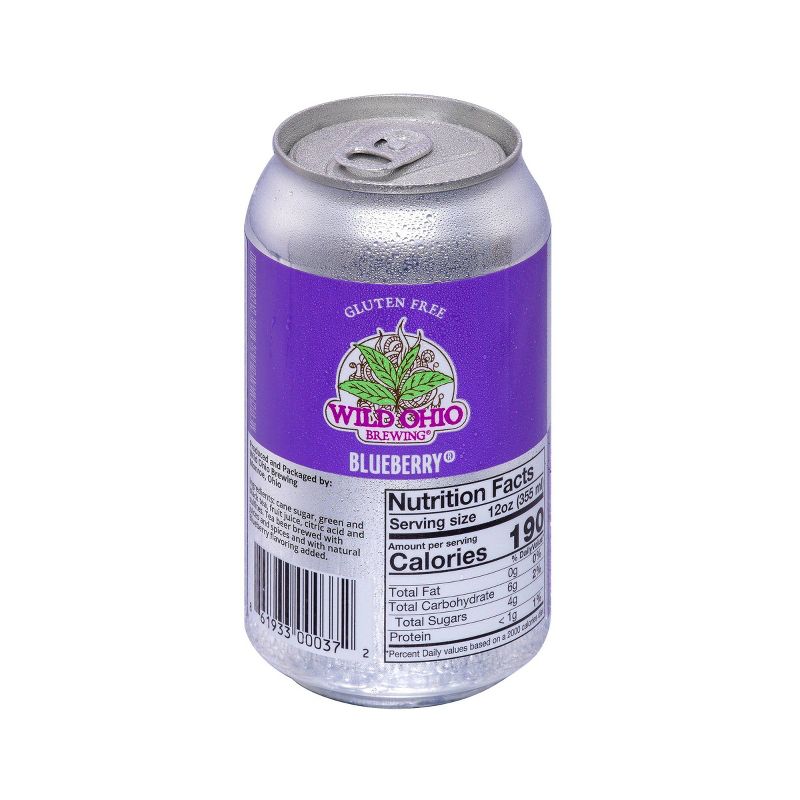 Wild Ohio Blueberry Tea Beer - 6pk/12 fl oz Cans