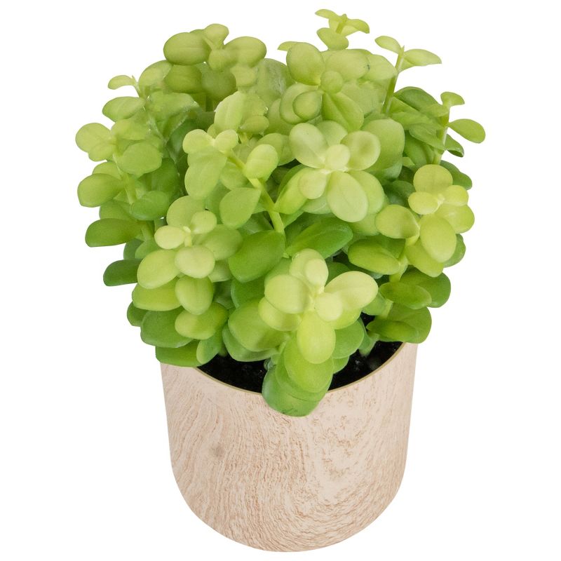 Northlight 10" Green Artificial Privet Plant in Faux Wood Pot