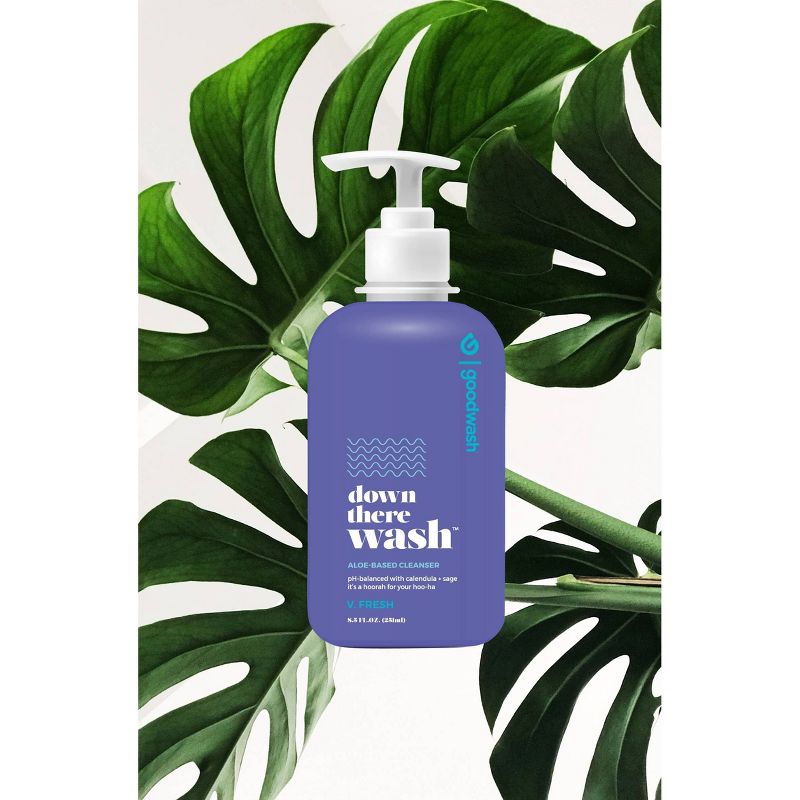 Goodwipes Fresh Down There Wash - 8.5 fl oz